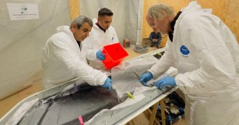 Mesleki eğitimde önemli çalışma