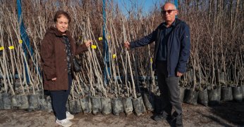 Büyükşehir’den üreticilere fidan desteği