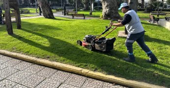 Değirmendere sahilinde peyzaj bakım çalışması