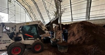 Torf üretimi ile 50 milyon lira tasarruf