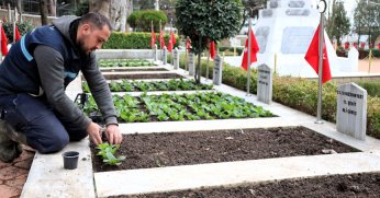 Şehitliklere özenli bakım