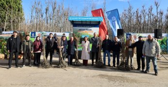 Yüzde 50 hibeli fidanlar dağıtıldı