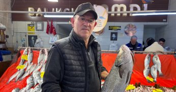 ‘Balıkta yokluk dönemi başladı’