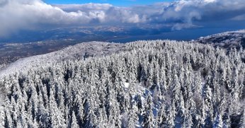 Kartepe’de beyaz, mavi ve yeşil birleşti