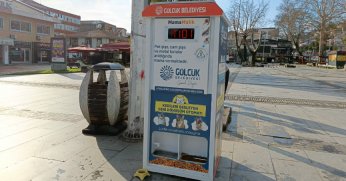 Atıklar, kediler için mamaya dönüşüyor