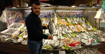 Tezgahlarda palamut ve çinekop bolluğu