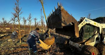 Fidanlıkta binlerce  bitki yetiştiriliyor   