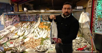 Hamsi yeniden tezgaha döndü