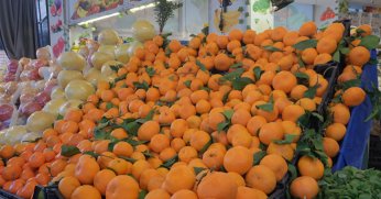 Narenciye ihracatından bir yılda 1,47 milyar dolar gelir
