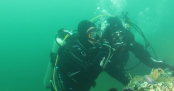 ‘Dipten diriliş tüm Marmara’ya yayılıyor’