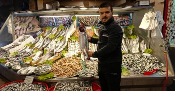 Soğuk havalar balığı etkiledi