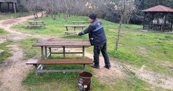 Tabiat parkında bakım çalışması