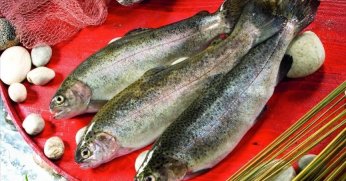 Türk somonu ihracatı yıla yükselişle başladı