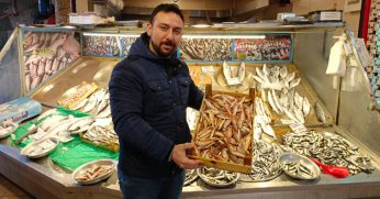 Balık satışları sakin seyrediyor