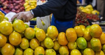 Gıda sektöründen Ocak’ta 2,4 milyar dolarlık ihracat