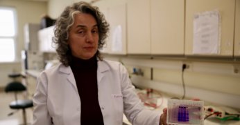 Sivrisinekle mücadelede çevreci proje geliştirdi