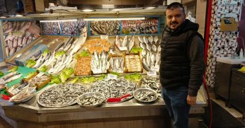 Balık çeşitliliği devam ediyor