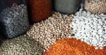 Güneydoğu’dan ilk 2 ayda 552,8 milyon dolarlık hububat ihracatı