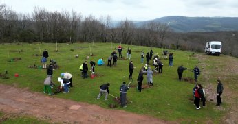 Fidanlar engelsiz hayat için dikildi