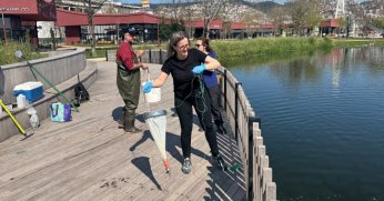 Gölette ekosistem için bilimsel çalışma