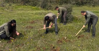 İzinsiz salep orkidesi toplayan kişiye 699 bin lira ceza