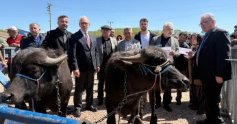 Büyükşehir’den hayvancılığa destek
