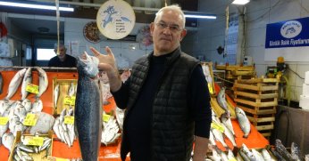 Balık tezgahları kış aylarını aratmıyor