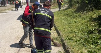 Ot kesim çalışmaları sürüyor