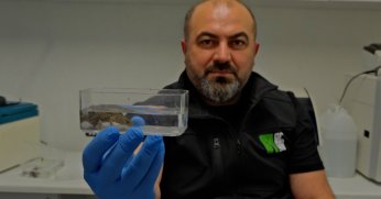 Ormanya’da yeni türler keşfedildi
