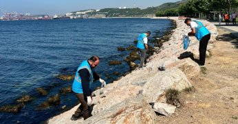 Marmara Denizi için sahil temizliği