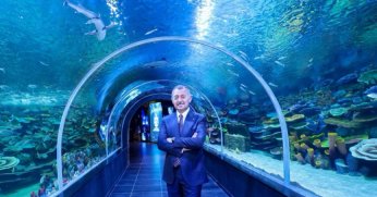 Büyükakın duyurdu; Akvaryum bir hafta daha ücretsiz