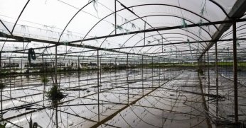 Doğal afetlerin tarım alanlarına zararı büyük