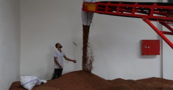 Fındık üreticisine önemli destek   