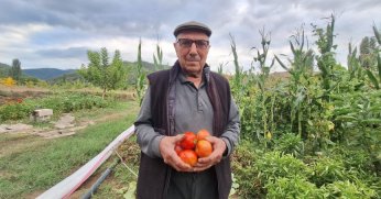 Domates tohumunu geleceğe taşıyor