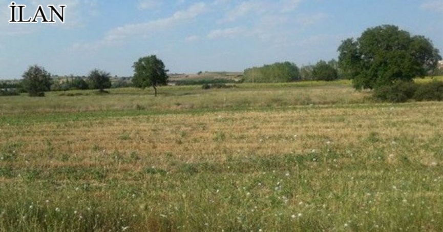 Körfez'de icradan satılık 260 m² arsa