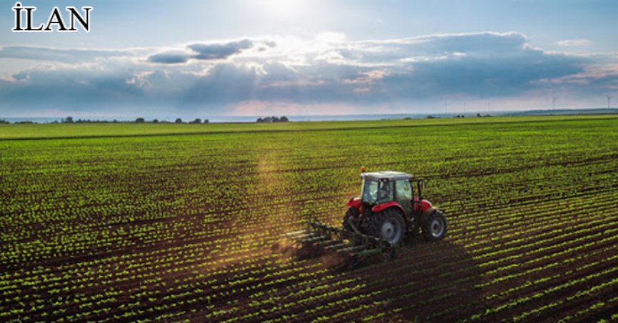 Darıca'da icradan satılık 3596 m² tarla