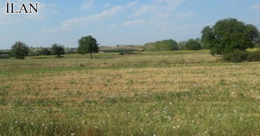 Körfez’de mahkemeden satılık 345 m² arsa