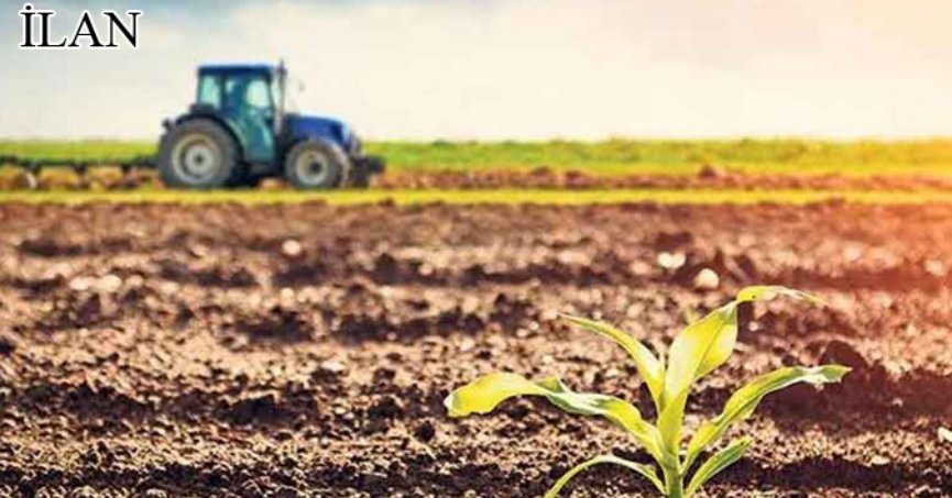 Kocaeli Merkez’de mahkemeden satılık tarla