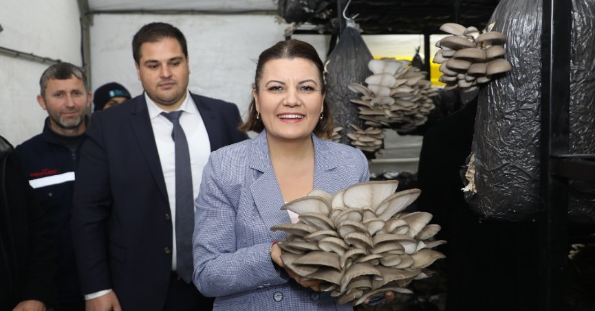 Üretilen istiridye mantarı  vatandaşlara dağıtılacak