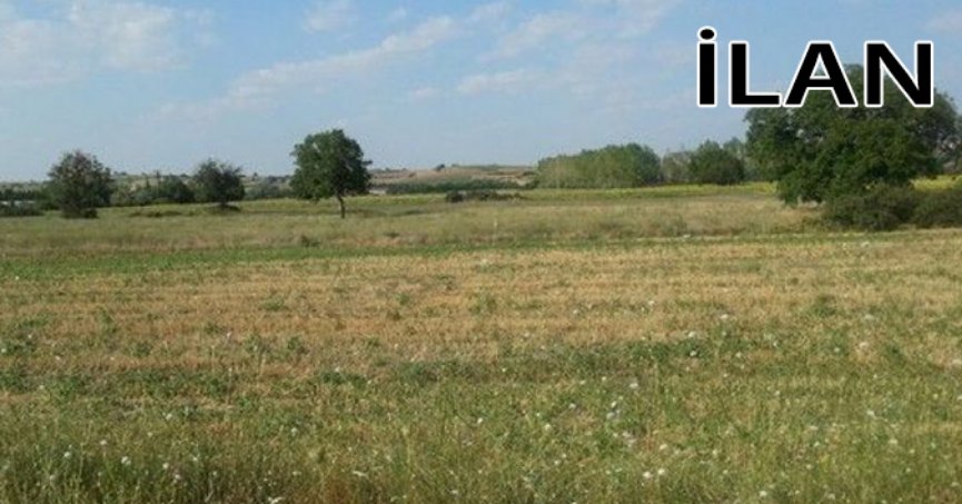 İzmit'te mahkemeden satılık 6443 m² arsa