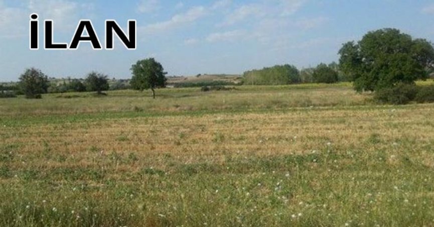 İzmit'te icradan satılık 3868 m² hisseli arsa