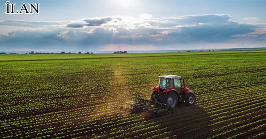 Körfez'de mahkemeden satılık 2887 m² tarla