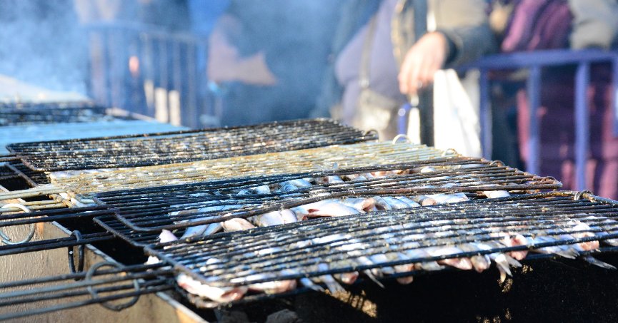 Kocaeli'de 2 ton hamsi dağıtıldı