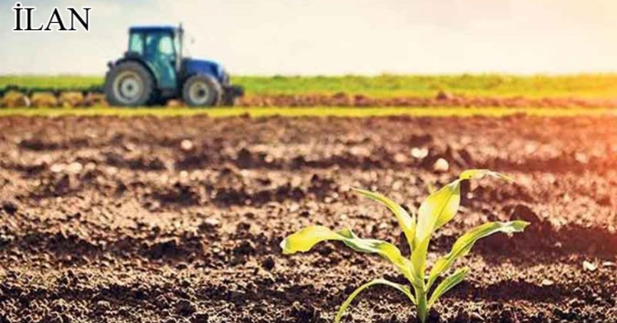 İzmit'te mahkemeden satılık 23130 m² tarla