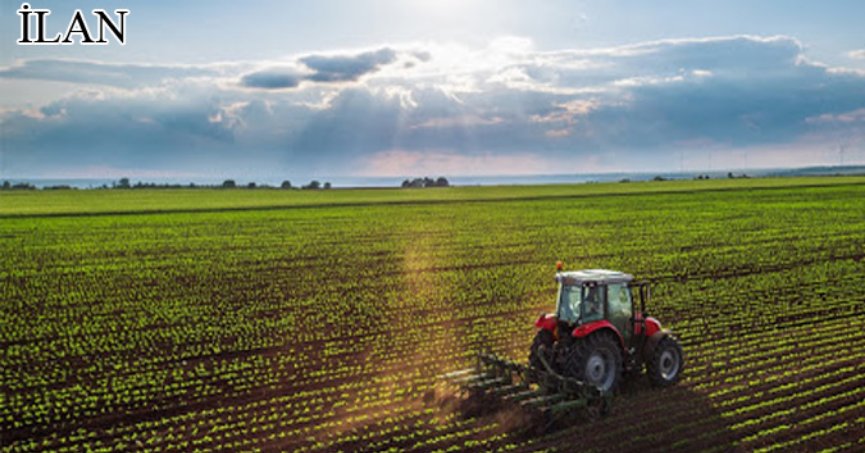 Karamürsel'de mahkemeden satılık tarla