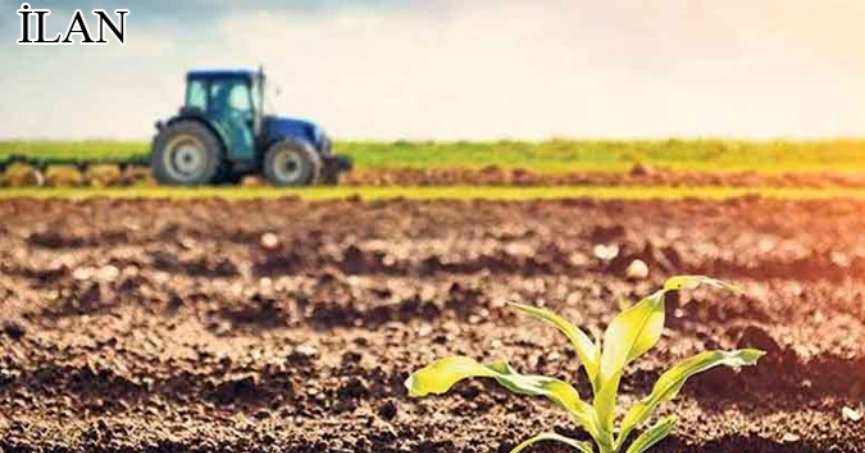 Kartepe'de mahkemeden satılık 12321 m² tarla