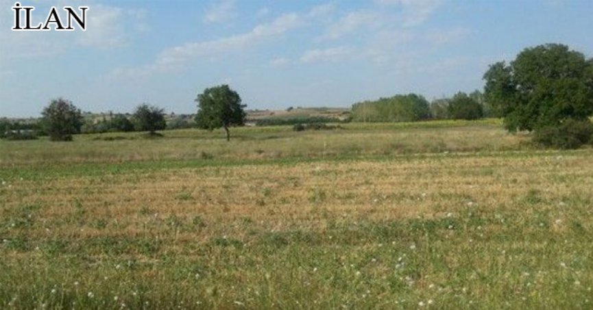 Karamürsel'de mahkemeden satılık 987 m² arsa