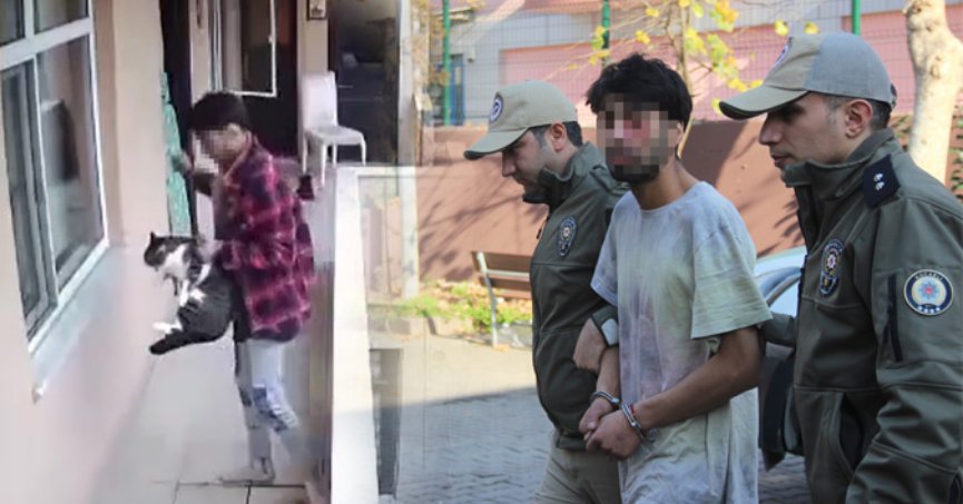 Kediye yumruk cezasız kalmadı