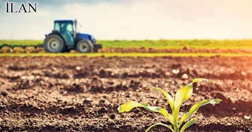 Kocaeli Merkez'de icradan satılık tarla