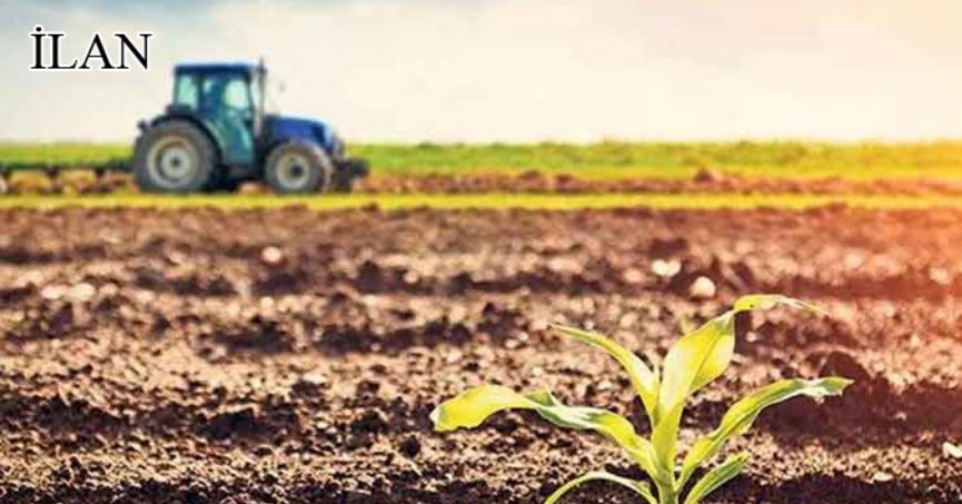 Kocaeli Merkez'de icradan satılık tarla